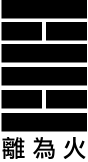 第30卦：离 离为火 离上离下